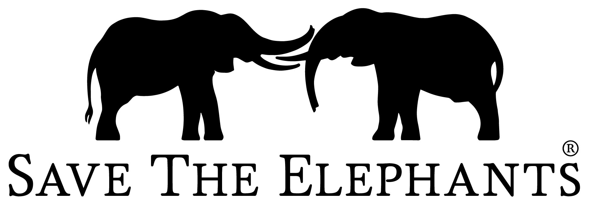 Save the Elephant