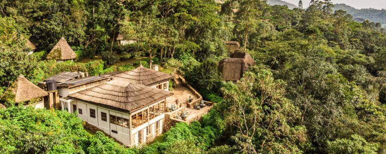 Bwindi Lodge