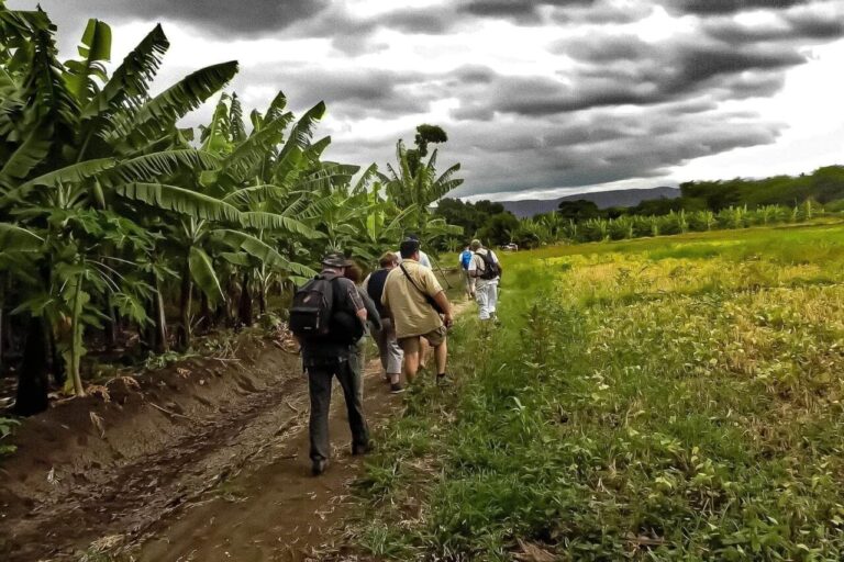 Village Walk & Bicycle Tours