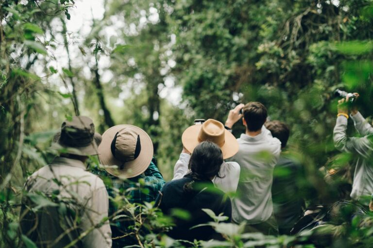 Mountain Gorilla Trekking