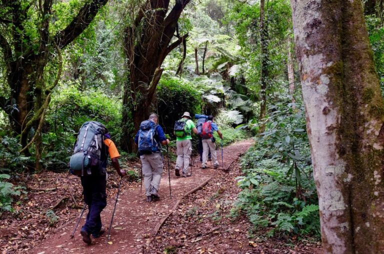 Lemosho Route