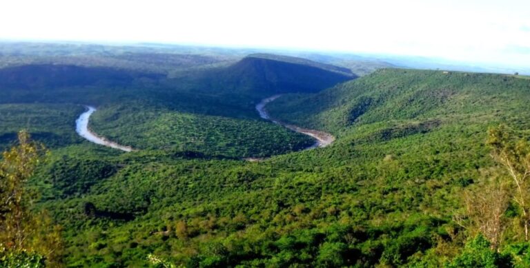 Shimba Hills Day Trip