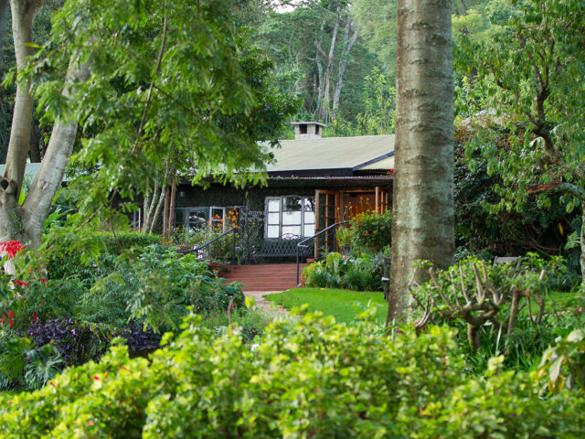 Gibbs Farm