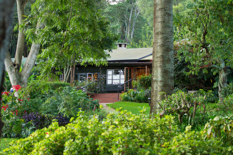 Gibbs Farm
