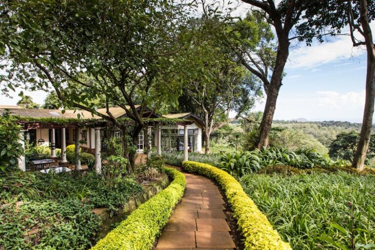 Coffee Farm Visits