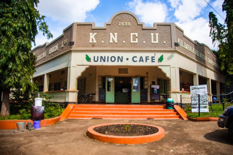 Kilimanjaro Coffee Cooperative