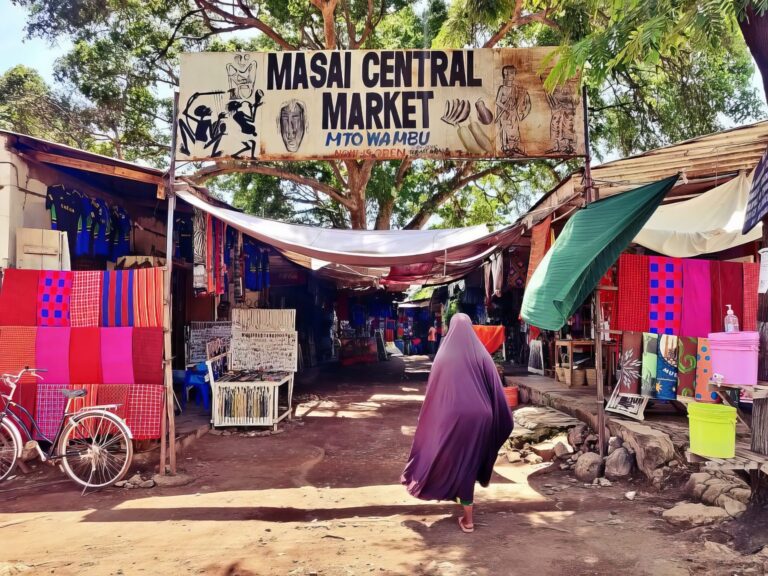 Cultural Diversity Market