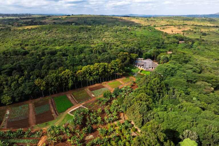 Ngorongoro Farmhouse Gardens