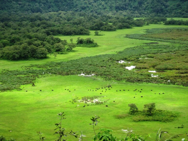 Ngurdoto Crater