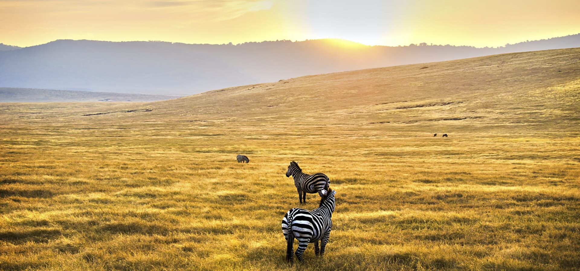 Serengeti & Crater Escape