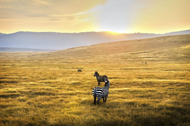 Serengeti & Crater Escape