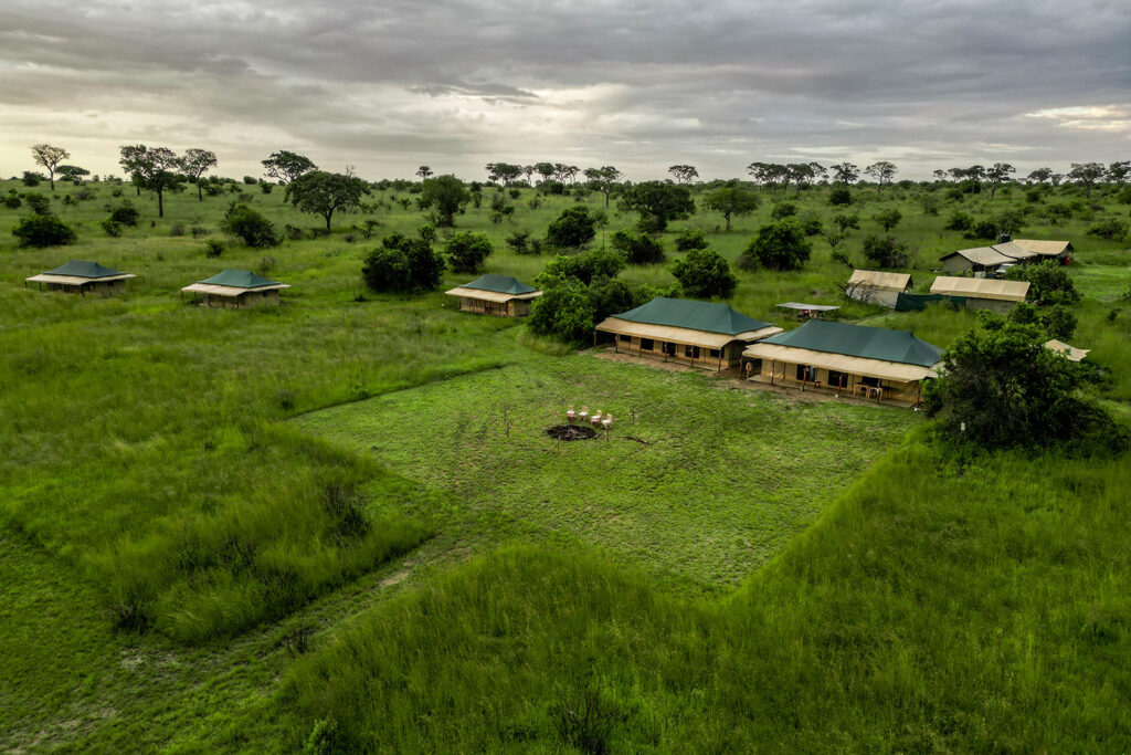 Serengeti Pure Tented Camp