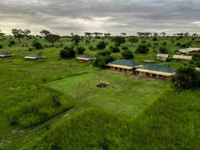 Serengeti Pure Tented Camp