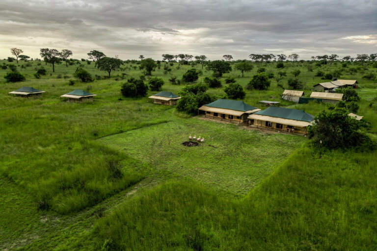 Serengeti Pure Tented Camp