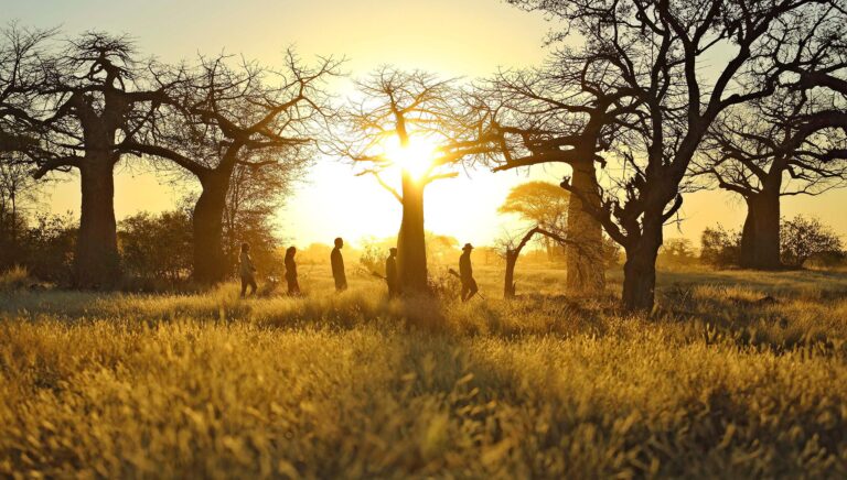 Walking Safaris