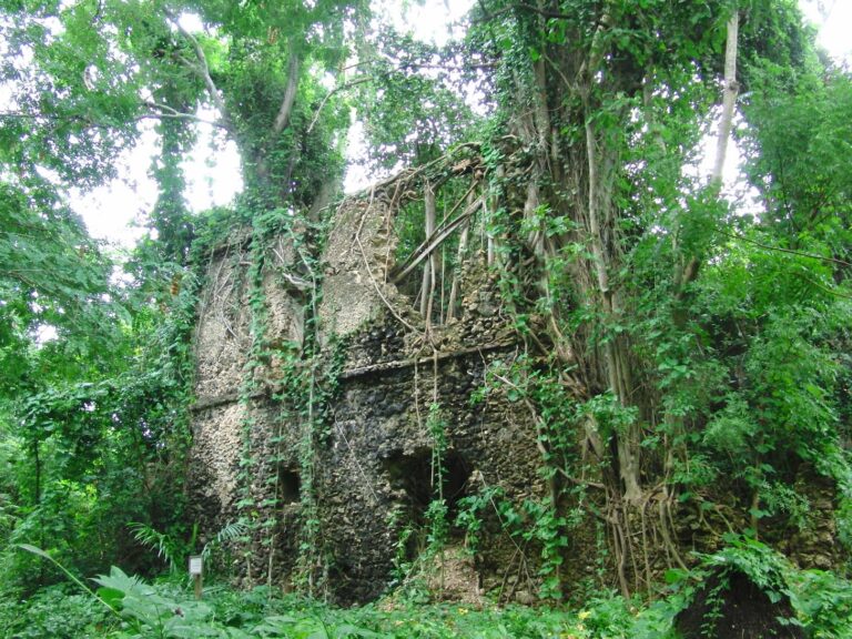 Chole Island Ruins