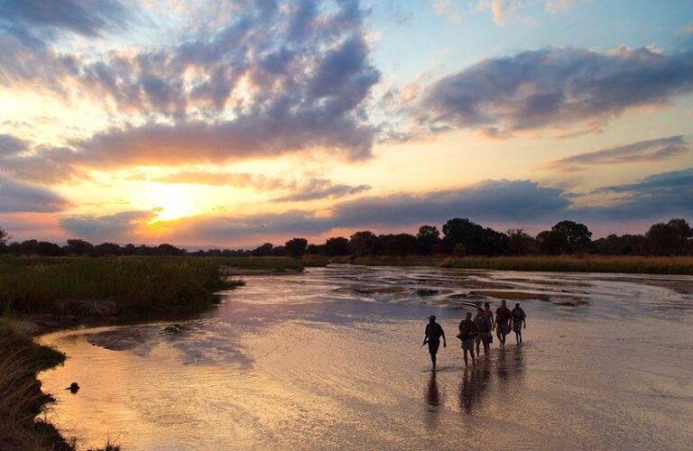 Walking Safaris