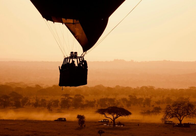 The Full Tanzania