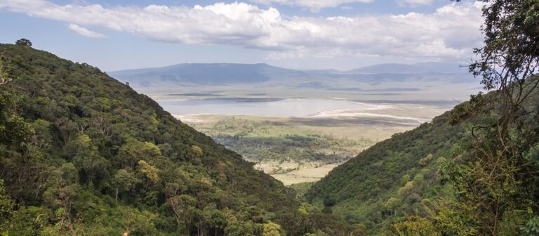 Lerai Forest & Hippo Pool