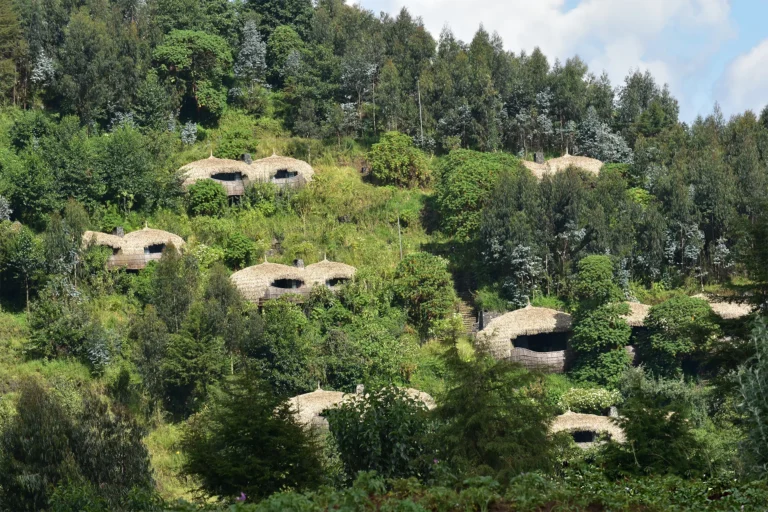 Bisate Lodge