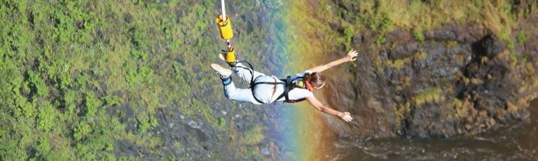 Bungee Jumping off the Bridge