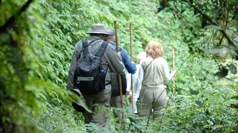 Dian Fossey Tomb Hike