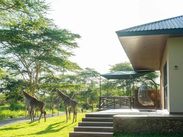 Aya Sophia Wildlife Villa