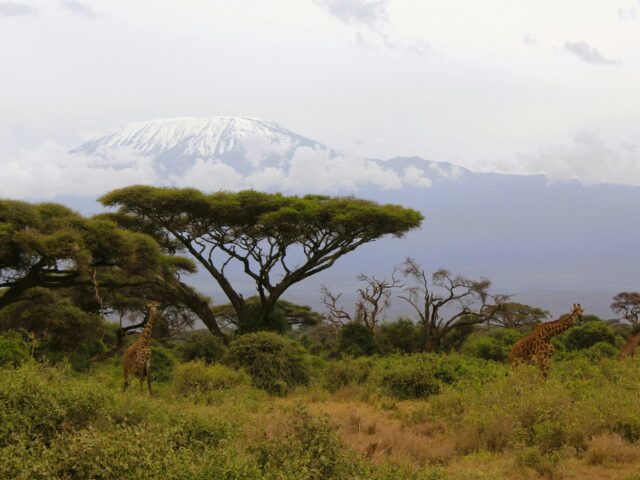 Mount Kilimanjaro