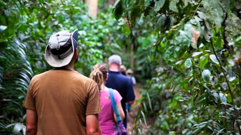Spice Farm Tour