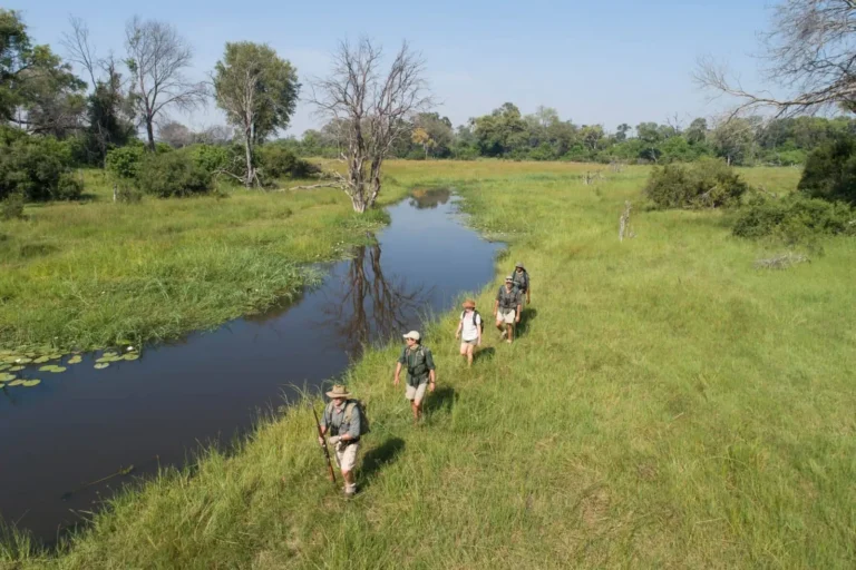 Walking Safaris on Islands